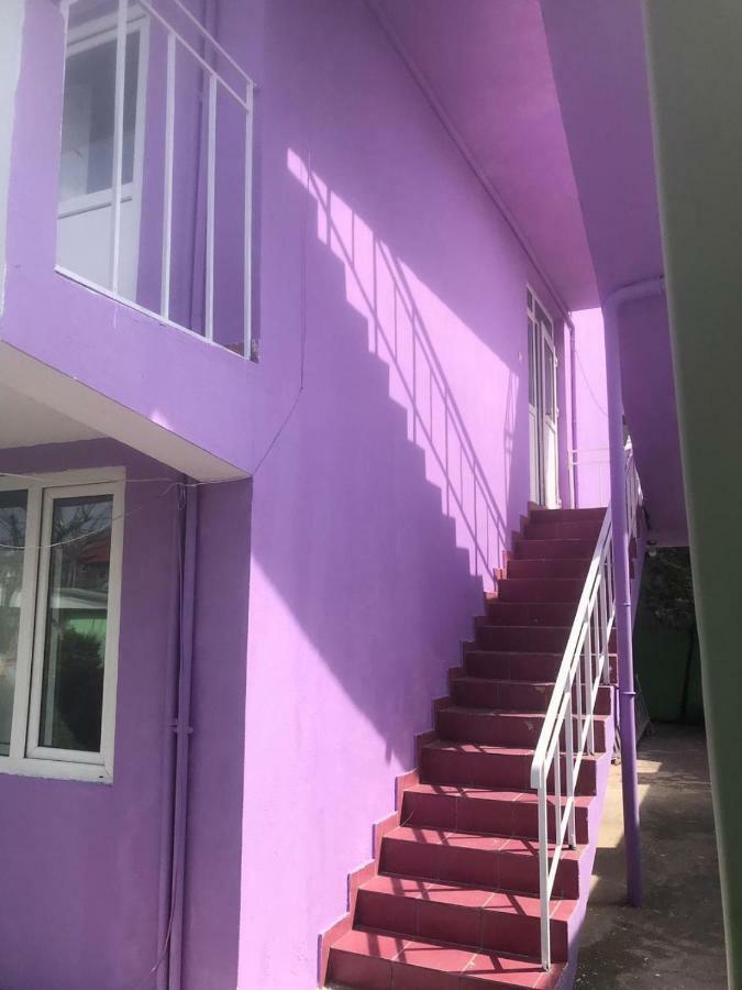 Хостел Casa Barbie Костинешти Экстерьер фото