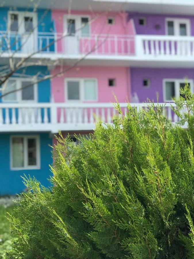 Хостел Casa Barbie Костинешти Экстерьер фото